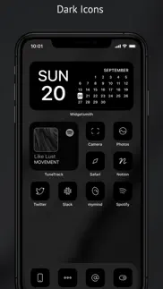 aesthetic app icon changer kit iphone screenshot 3