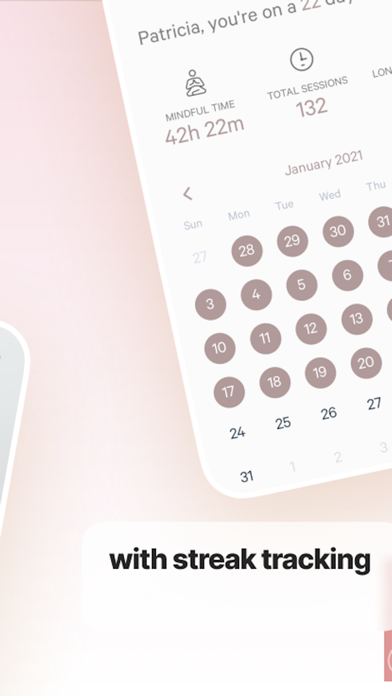 Screenshot #2 pour Mindstreaks