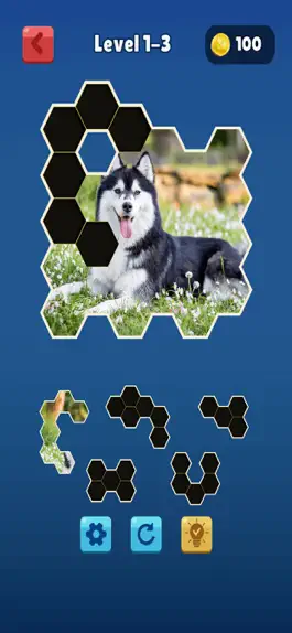 Game screenshot Hexa Jigsaw Collection HD mod apk