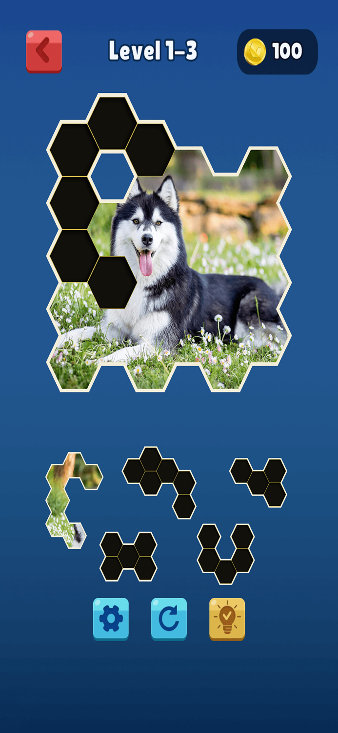 Hexa Jigsaw Collection HD