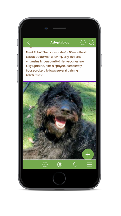 Social Petwork Screenshot