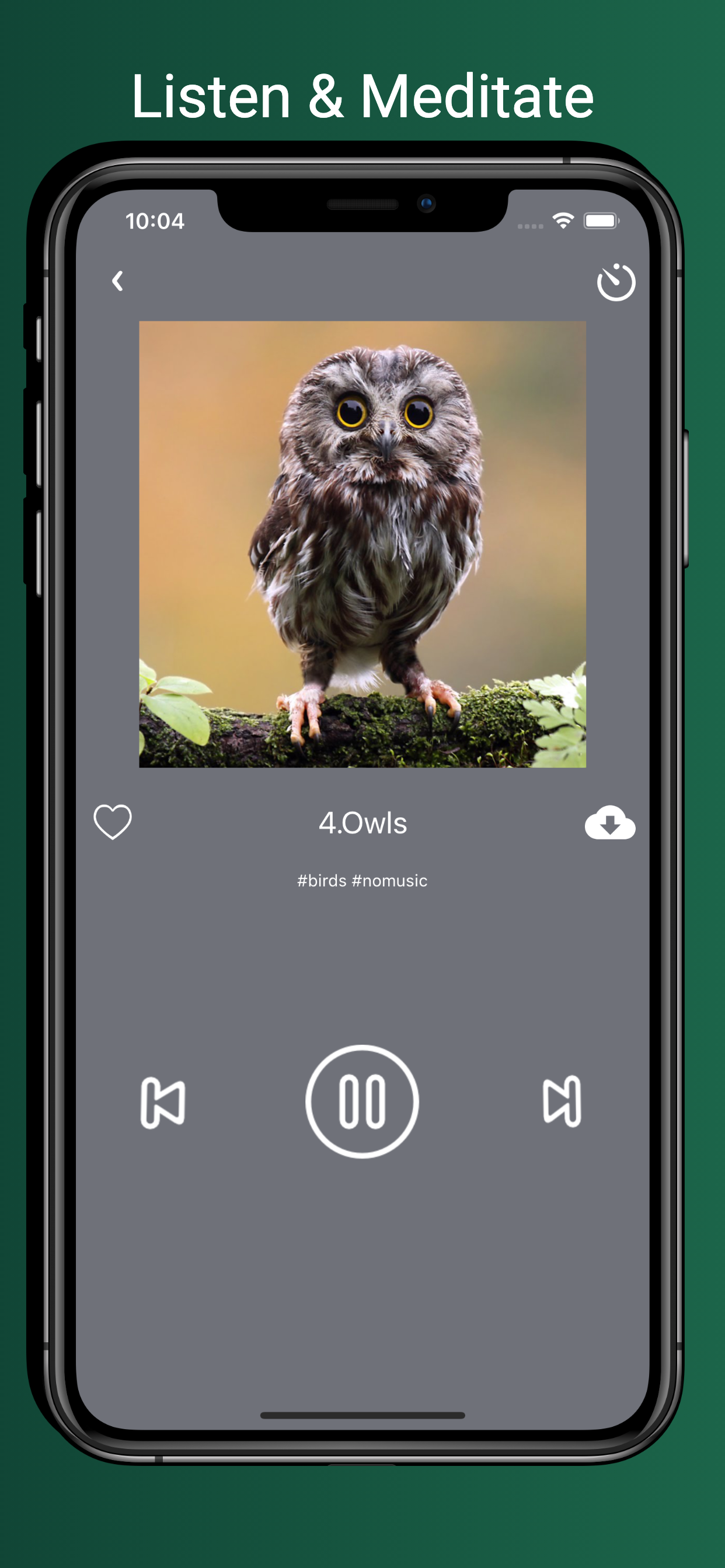 Bird Sounds!!!