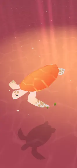 Game screenshot Turtle World. apk