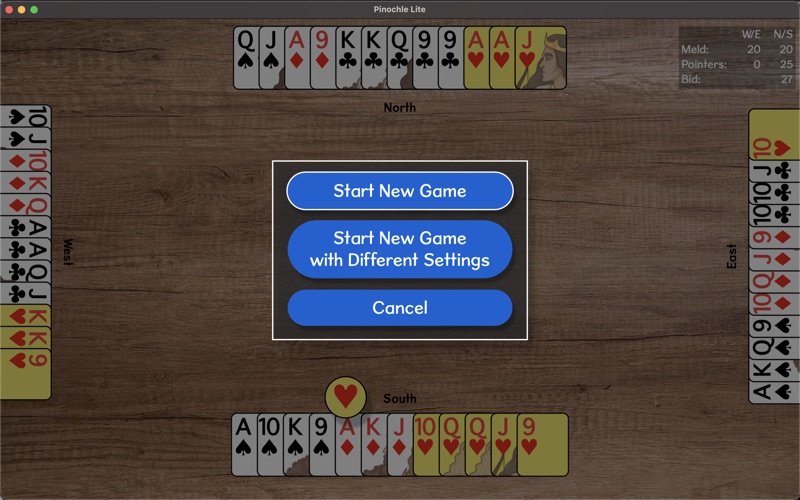 pinochle lite problems & solutions and troubleshooting guide - 1
