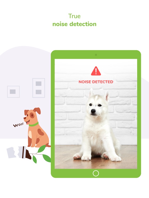 Surveillance Pet & Dog Monitor screenshot 4