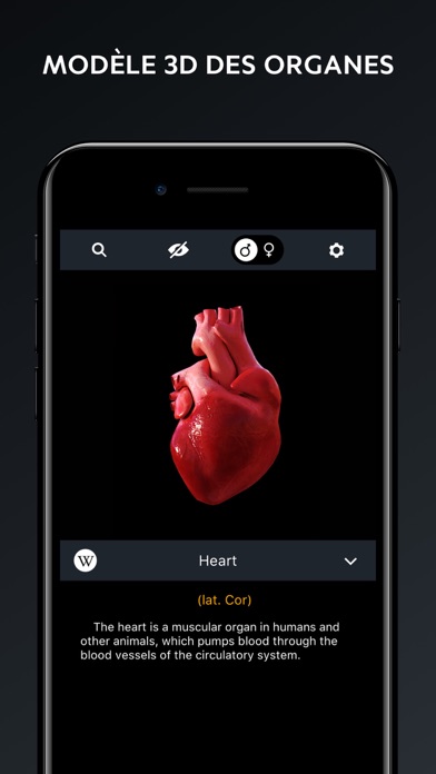 Screenshot #3 pour Corps Humain: Atlas Anatomie