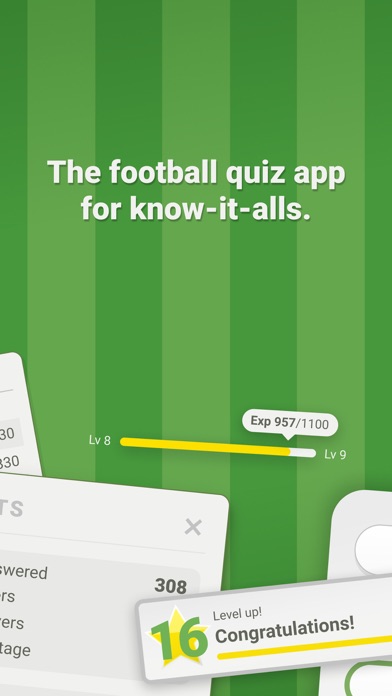 I Know Football Screenshot