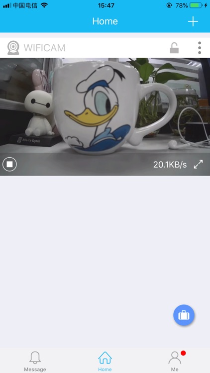 SkylinkCam I