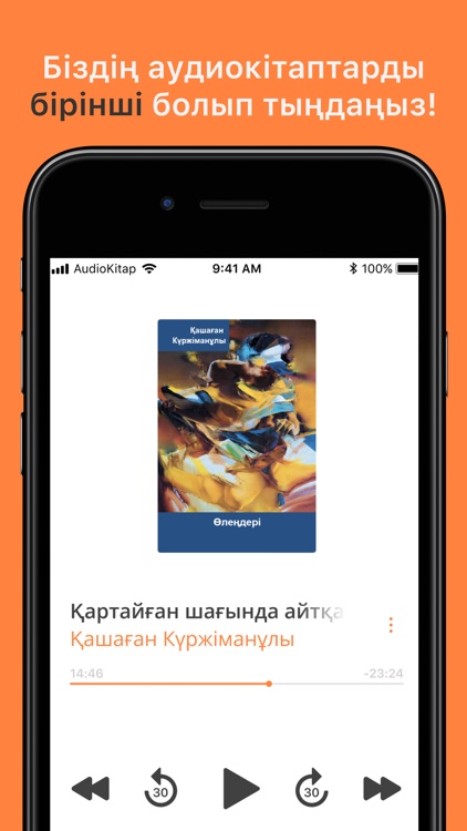 AudioKitap screenshot-3