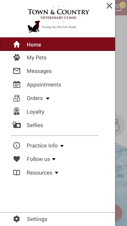 Town and Country Vet screenshot-4