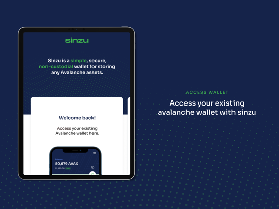 Screenshot #4 pour Sinzu Wallet