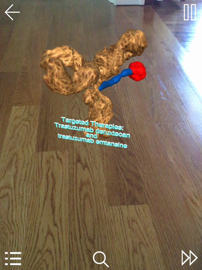 HER2-Targeted Therapy