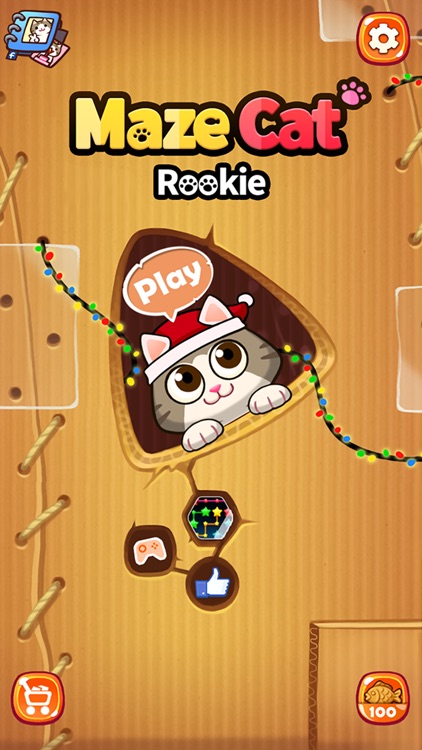 Maze Cat - Rookie