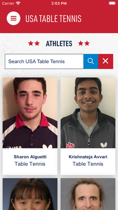 USA Table Tennis Screenshot