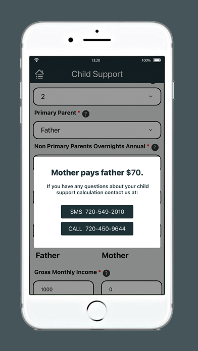 Screenshot 4 of Colorado Divorce Calculator App