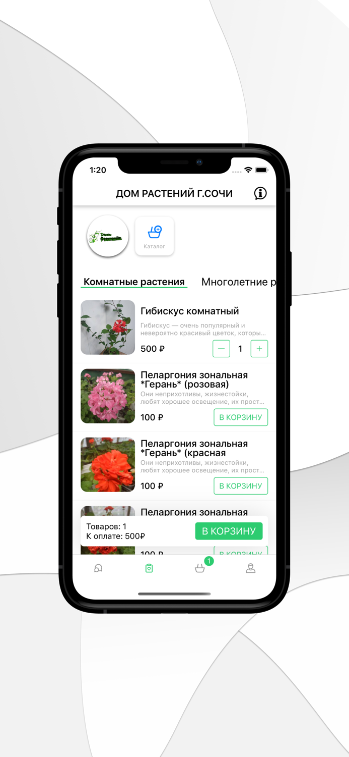 Дом растений г.Сочи