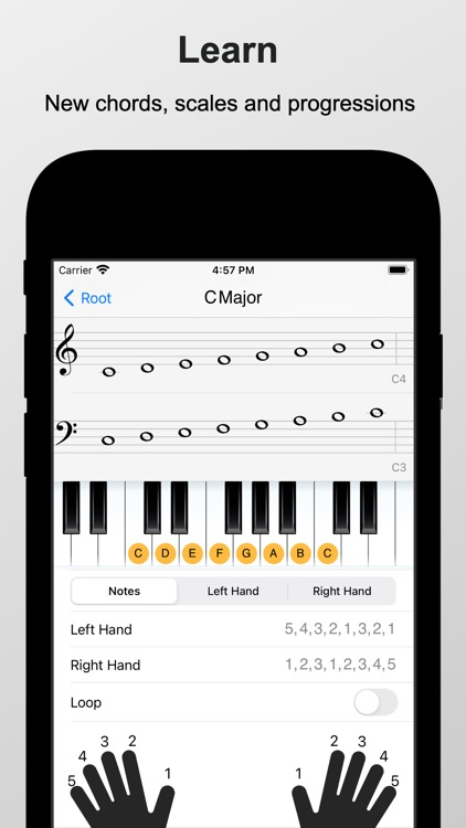 Piano Chords and Scales Pro screenshot-3