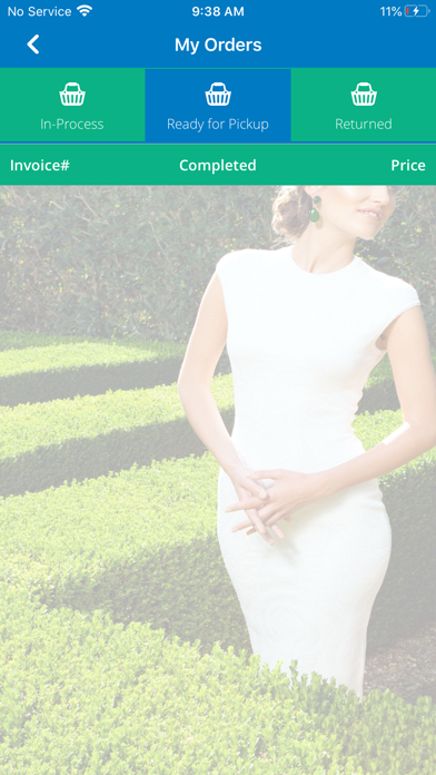 Hollyway Cleaners Screenshot