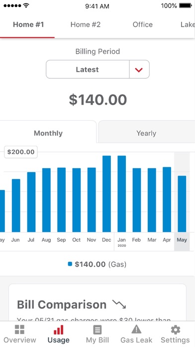 Michigan Gas Utilities (MGU) screenshot 2