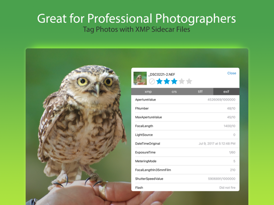 FileBrowser Professional FileBrowser Professional