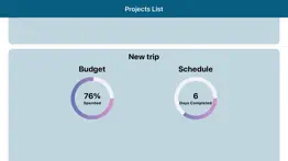 project budget management problems & solutions and troubleshooting guide - 1