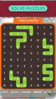 word path - word search problems & solutions and troubleshooting guide - 4