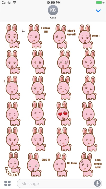 Sticker Me Lovely Bunny