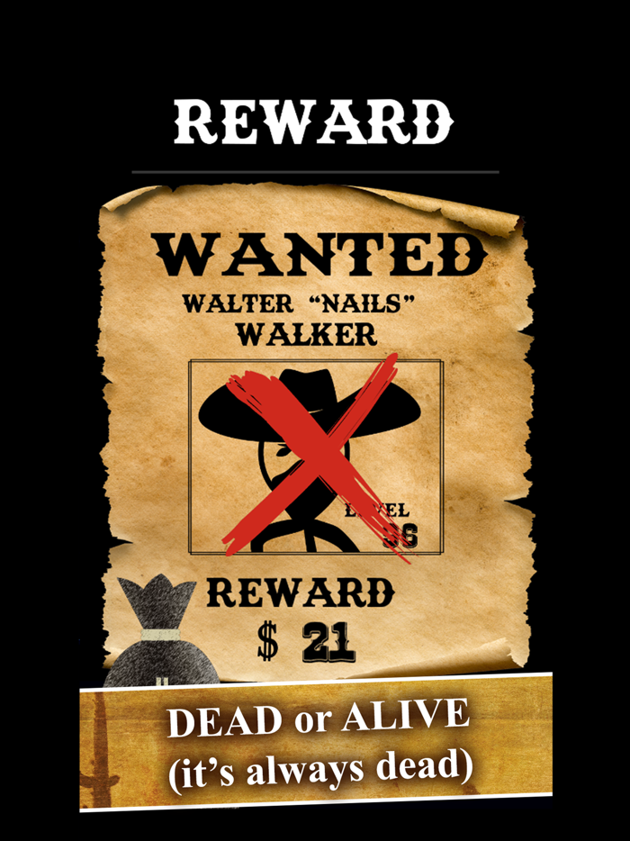 Bounty Hunter Wild West