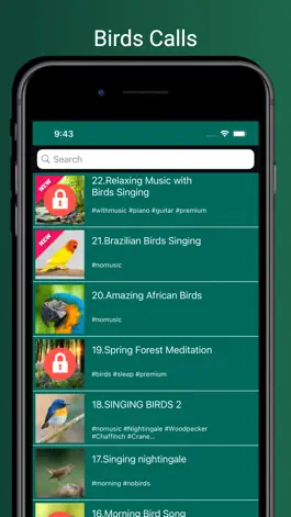 Game screenshot Bird Sounds!!! mod apk