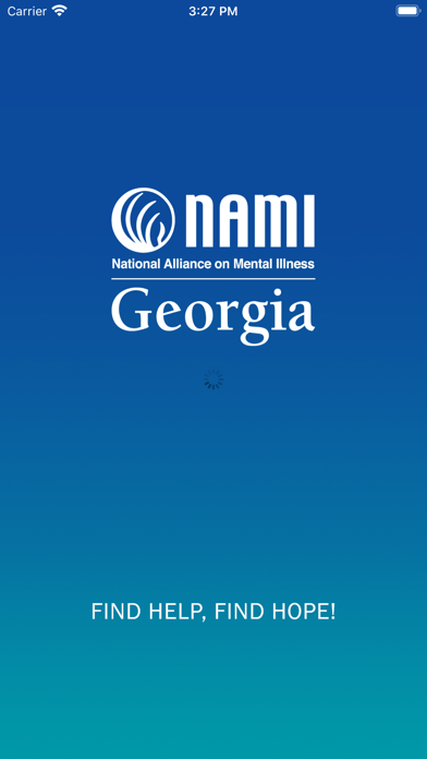 NAMI Georgia Screenshot