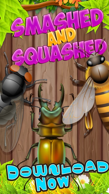 A Smash ANT Squashed -Cool