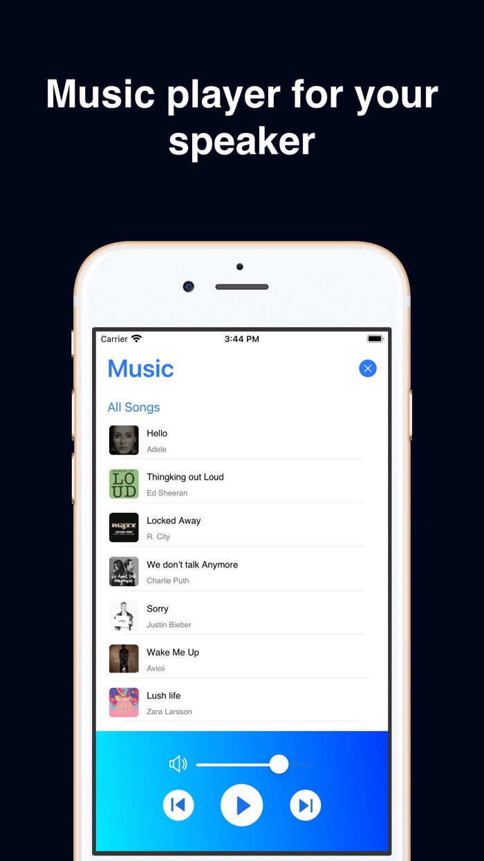 Speaker Controller  Live Mic