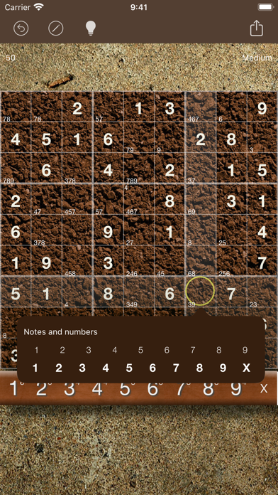 Sudoku (Oh No! Another One!) Screenshot