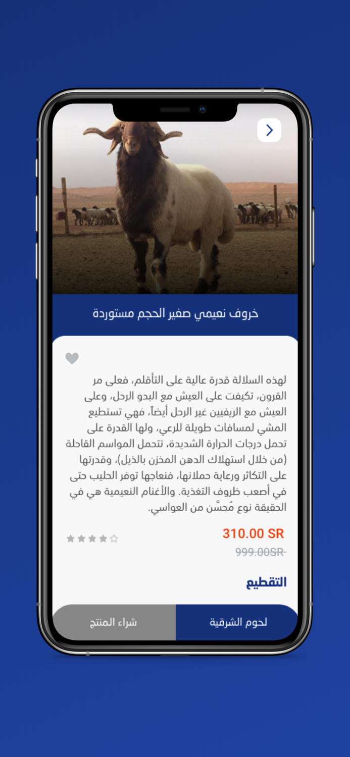 حلال السعودية