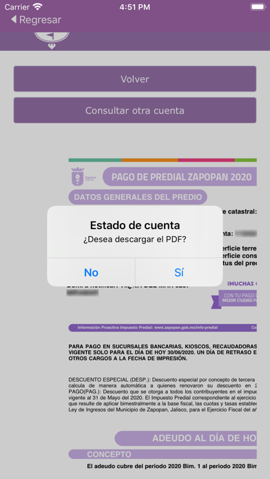 Zapopan: Pago en Línea Screenshot
