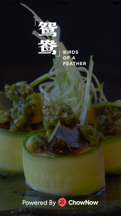 Birds of a Feather NY