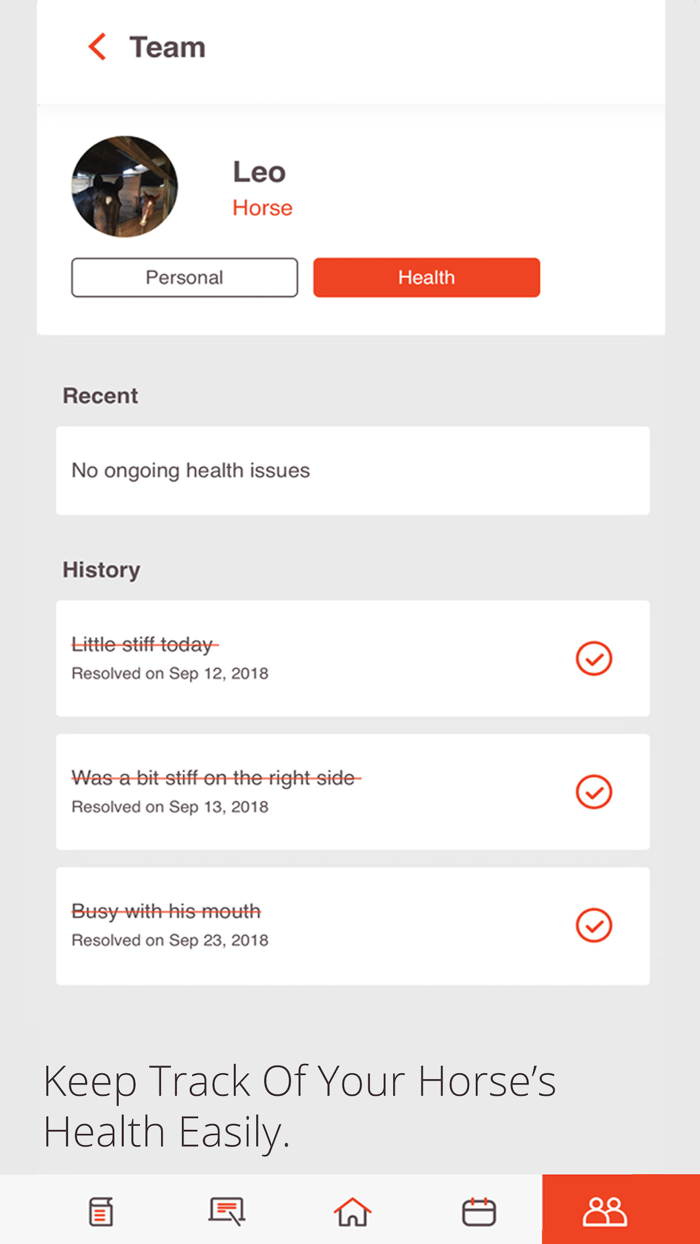 Levade - Equestrian Training