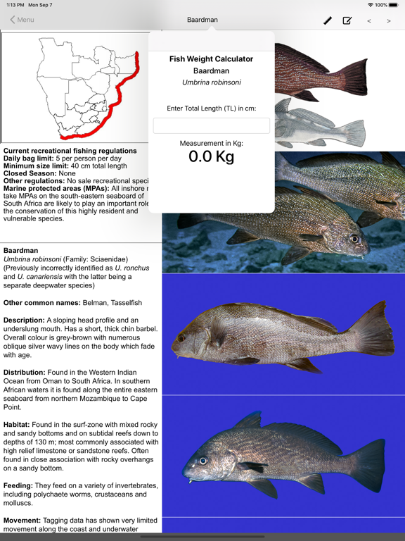 Screenshot #5 pour Marine Fish Guide
