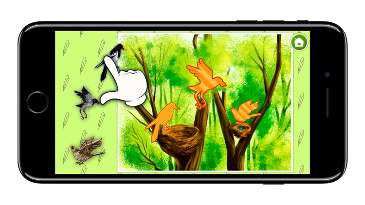 KidsDi: World birds' puzzle