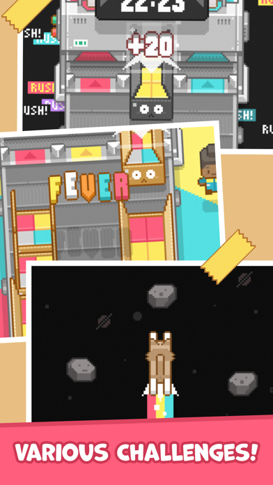 Box It Up! Inc. Screenshot