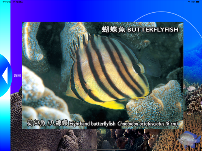 Reef Check Hong Kong