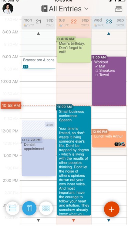 Simplanum Pro: Notes Organizer