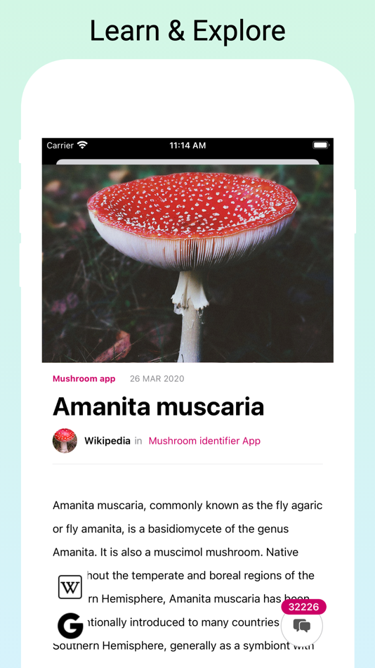 #4. Mushroom Identifier by photo (iOS) 由: RLAM FZCO