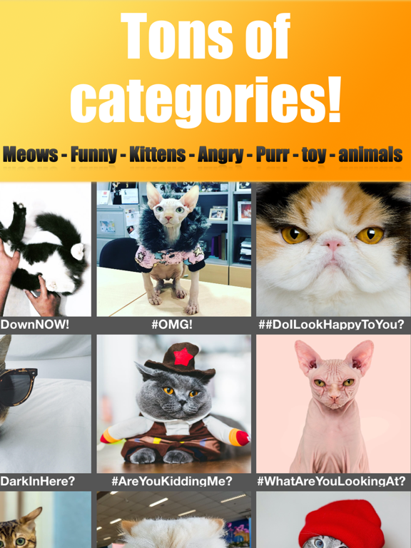 Screenshot #5 pour Cat Sounds & Meow Talk