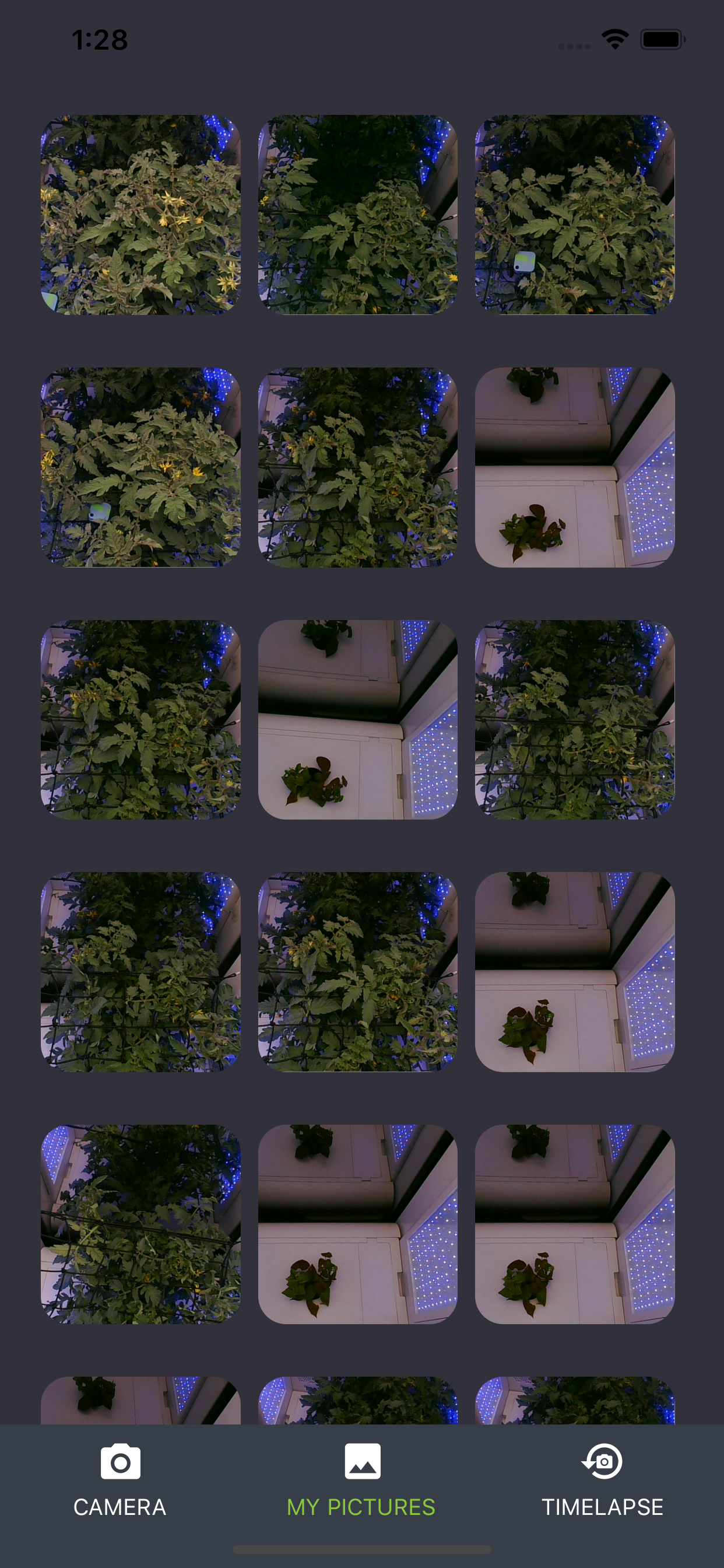 BLOOM Grows
