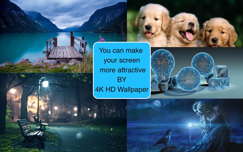 Screenshot #3 pour HD wallpapers - 4k backgrounds