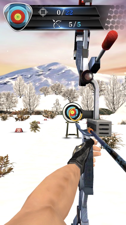 Archery Master : Shooting Game screenshot-6
