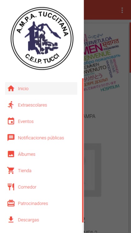 MiAMPA | AMPA TUCCITANA