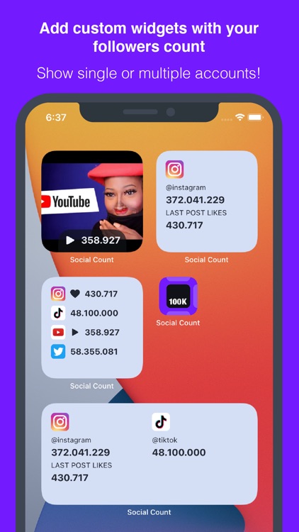 Social Count: Followers Widget