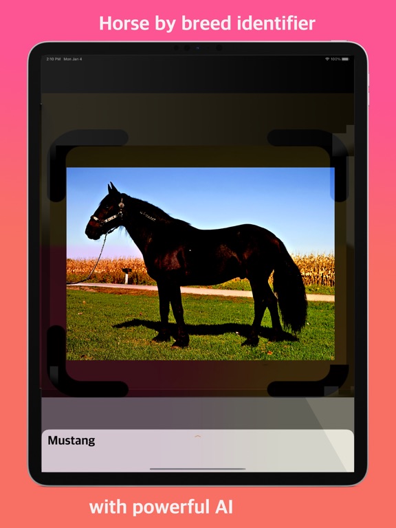 Screenshot #4 pour Horse Identifier